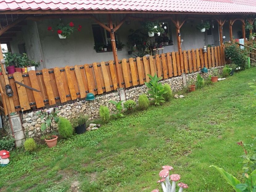  - curtea in vara 2020
