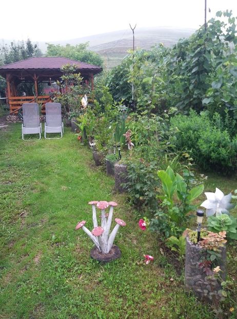  - curtea in vara 2020