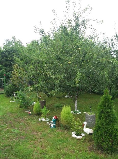  - curtea in vara 2020