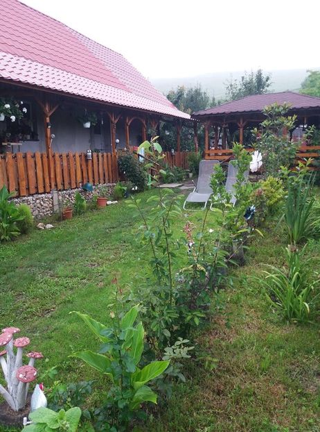  - curtea in vara 2020