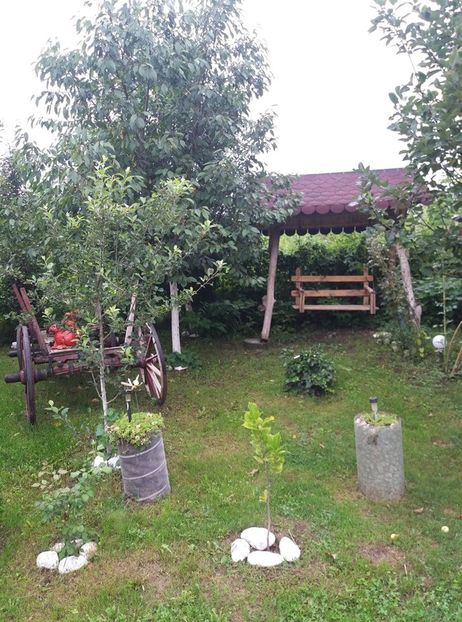  - curtea in vara 2020
