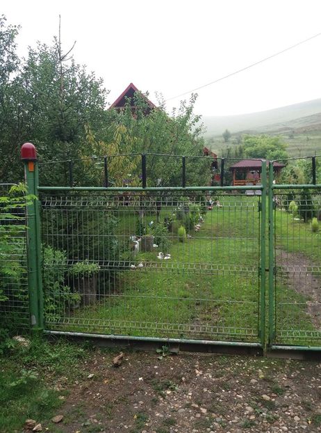  - curtea in vara 2020