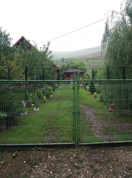  - curtea in vara 2020
