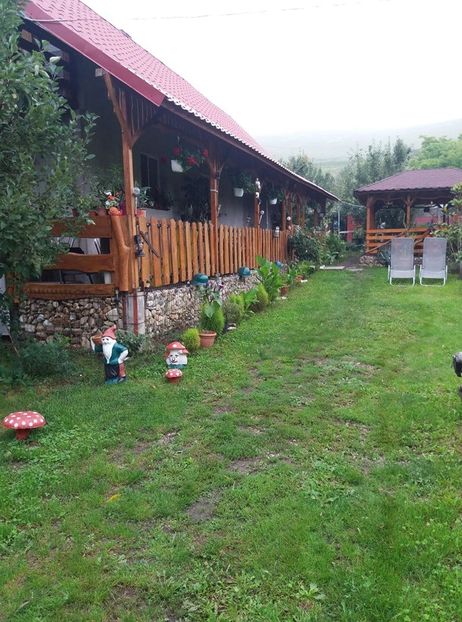  - curtea in vara 2020