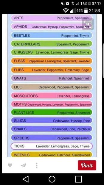 doterra ganganii2 - A1 uleiuri esentiale Doterra