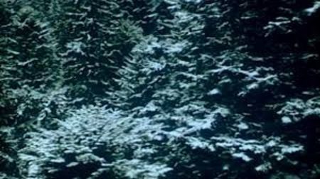 Sania Albastra - Sania Albastra 1987