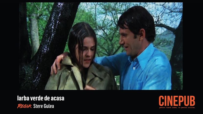 Iarba Verde De Acasa - Iarba Verde De Acasa 1977