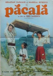 Pacala - Pacala 1974