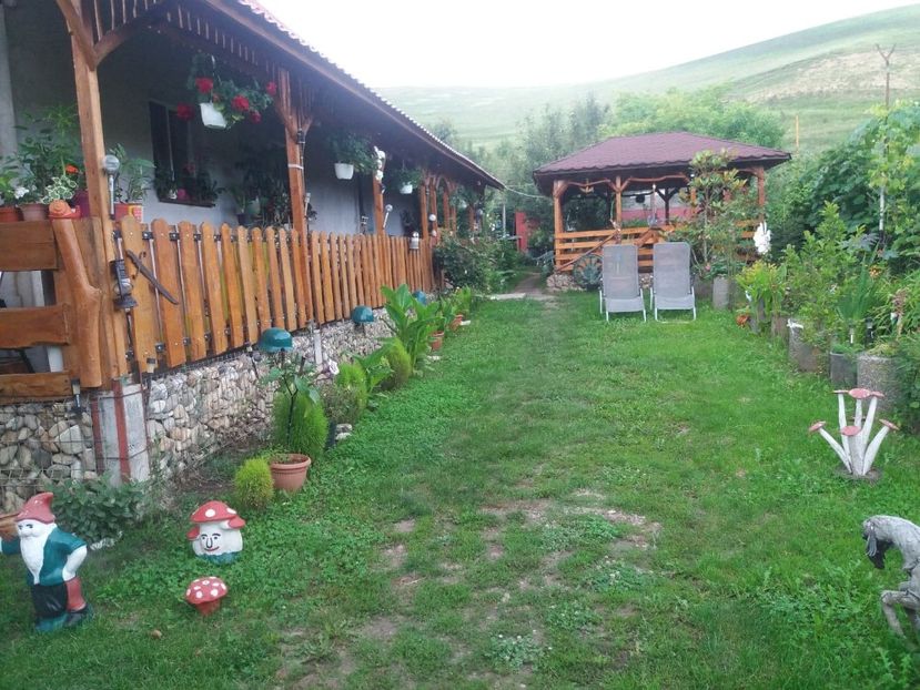  - curtea in vara 2020