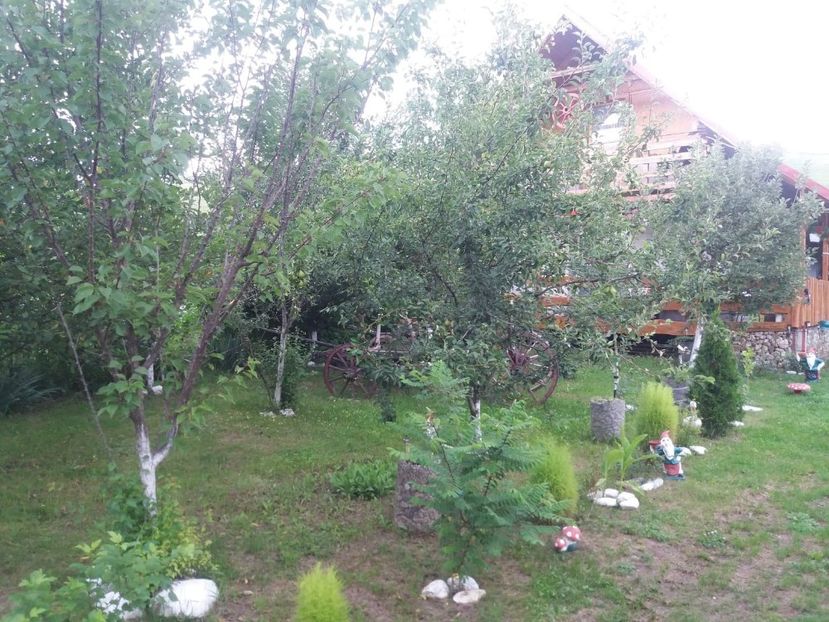  - curtea in vara 2020