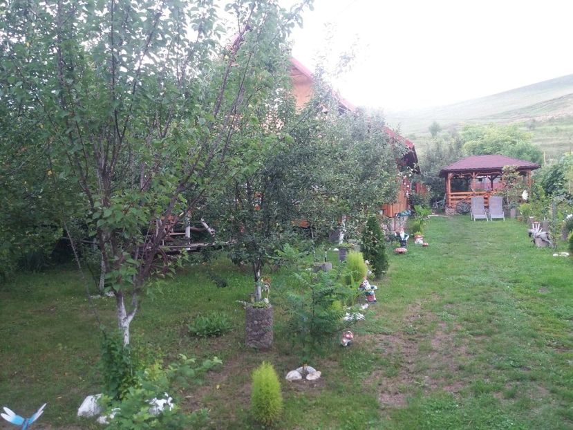  - curtea in vara 2020