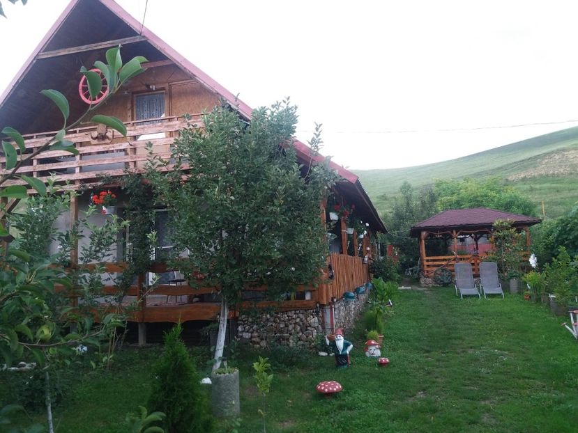  - curtea in vara 2020