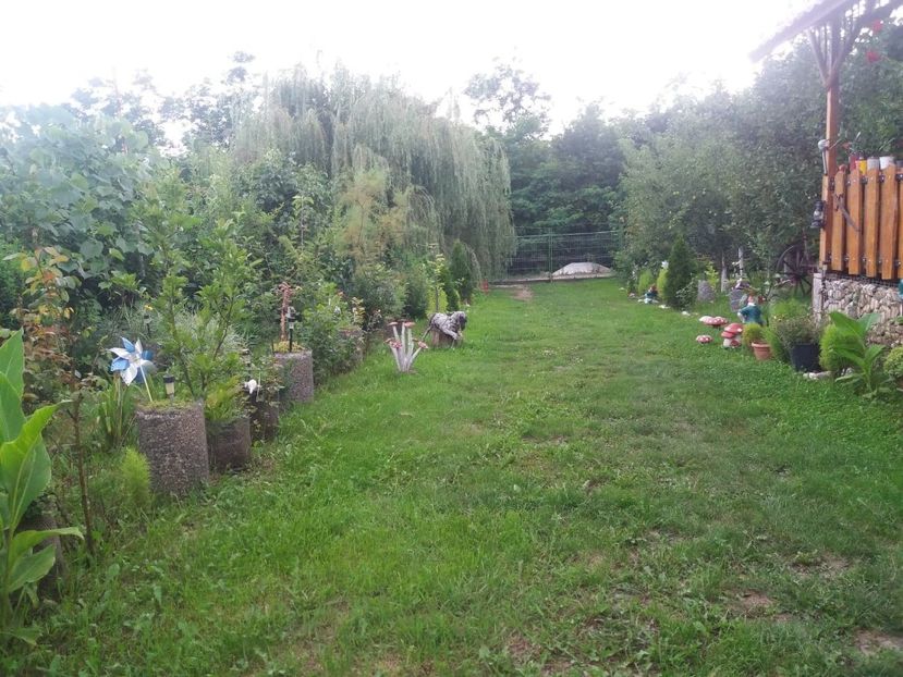  - curtea in vara 2020