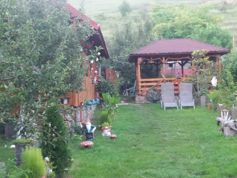  - curtea in vara 2020