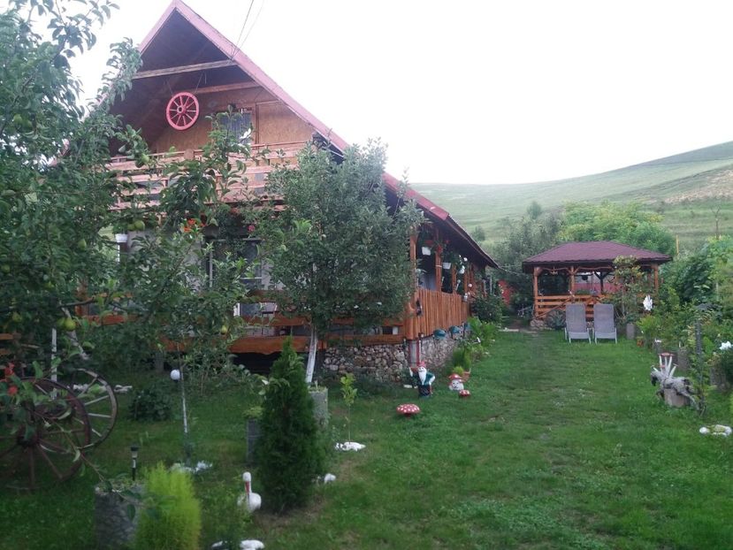  - curtea in vara 2020