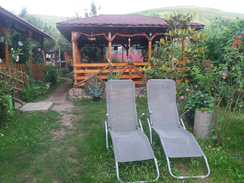  - curtea in vara 2020