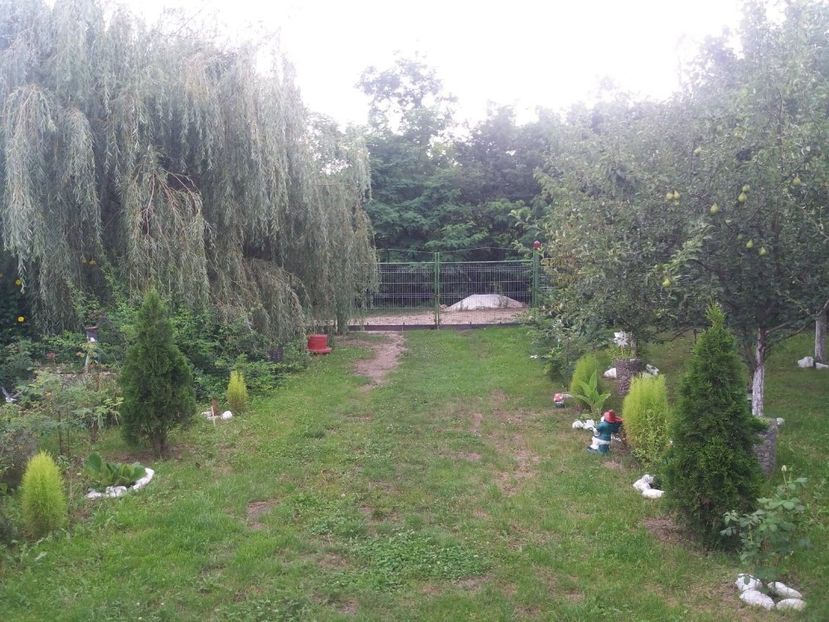  - curtea in vara 2020