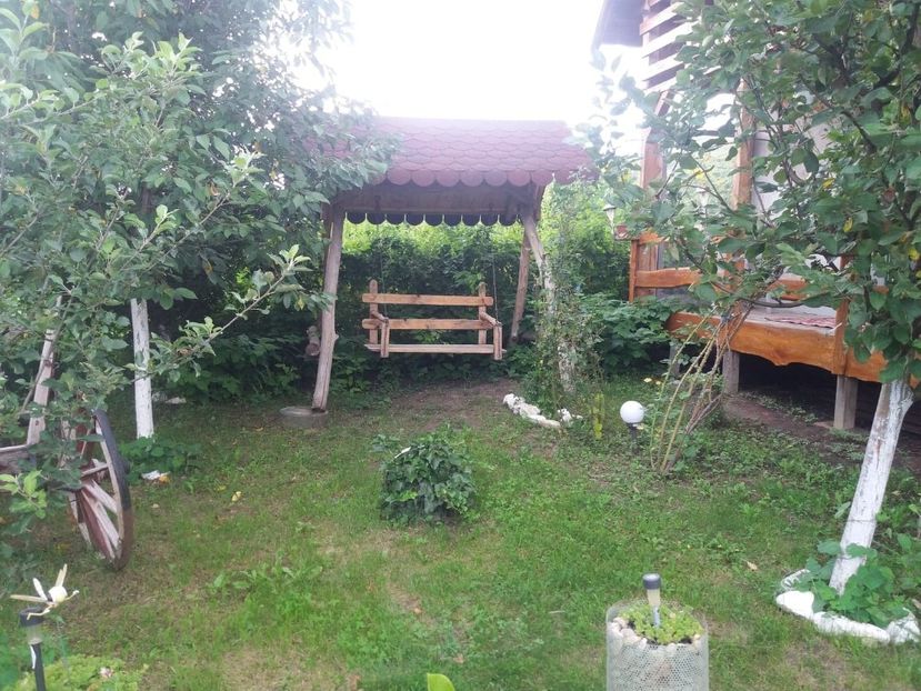  - curtea in vara 2020