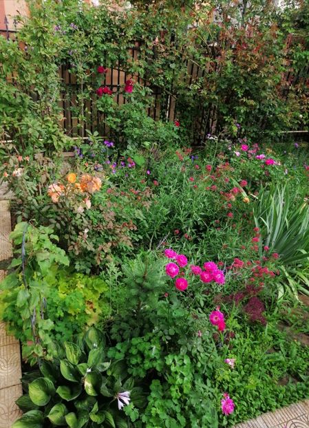  - 2020 mai iunie iulie