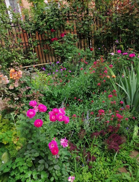  - 2020 mai iunie iulie