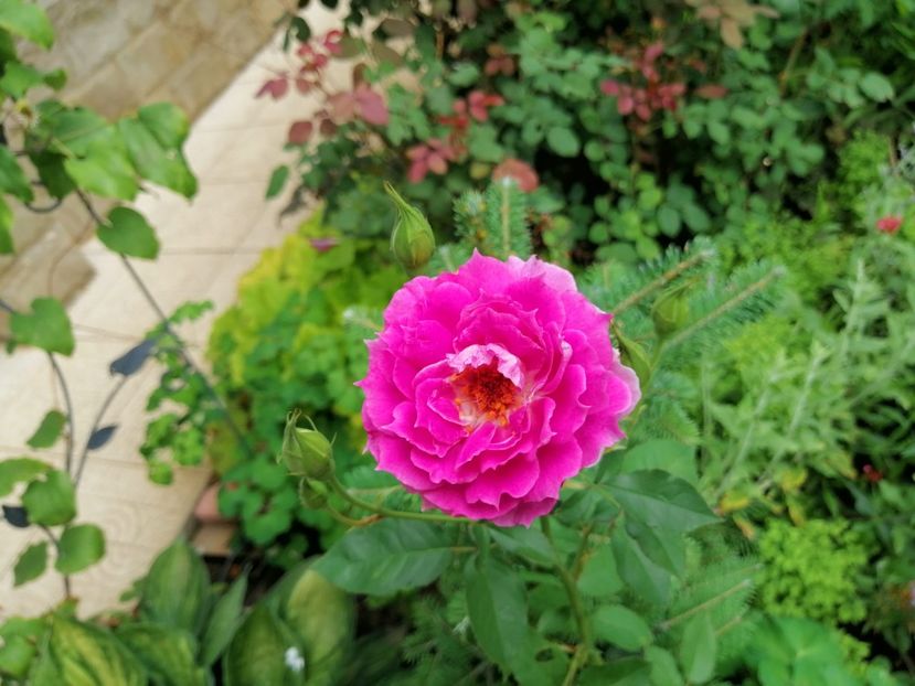  - 2020 mai iunie iulie