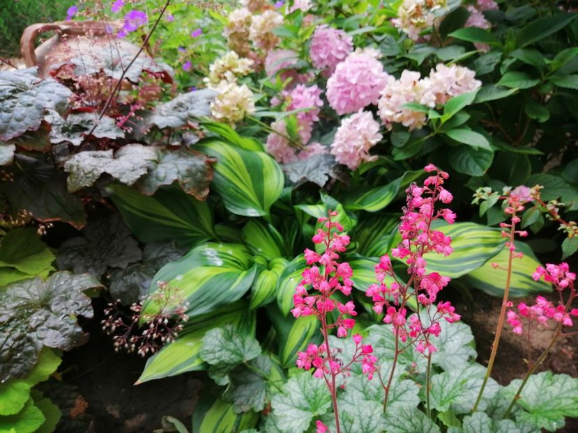  - 2020 mai iunie iulie