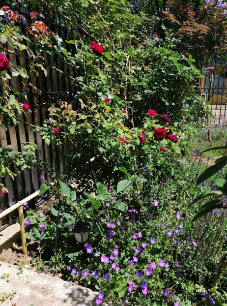  - 2020 mai iunie iulie