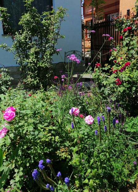  - 2020 mai iunie iulie