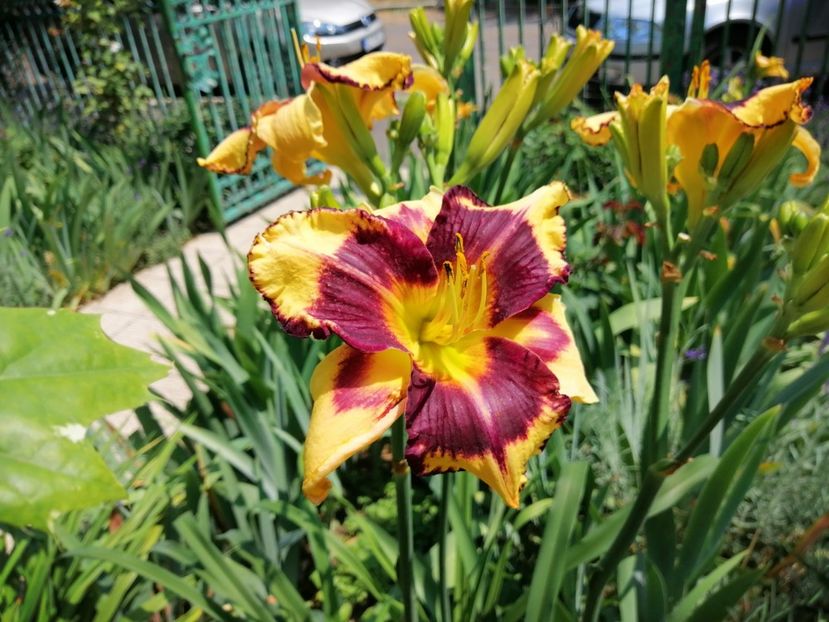  - 2020 mai iunie iulie