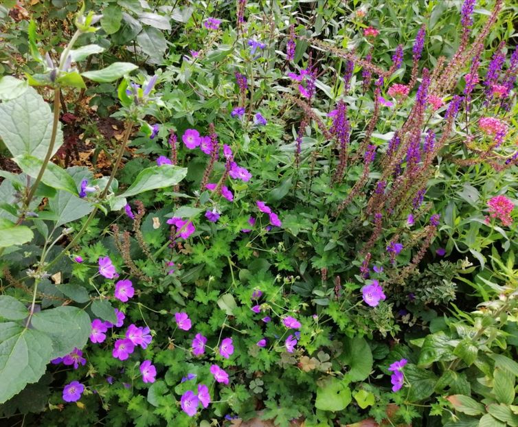  - 2020 mai iunie iulie