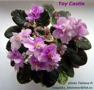 Toy Castle - 1 provizoriu