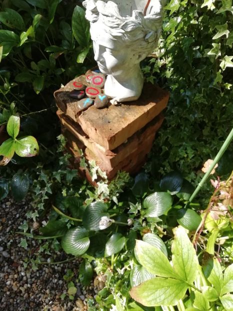  - Grădina 2020 continuare 1