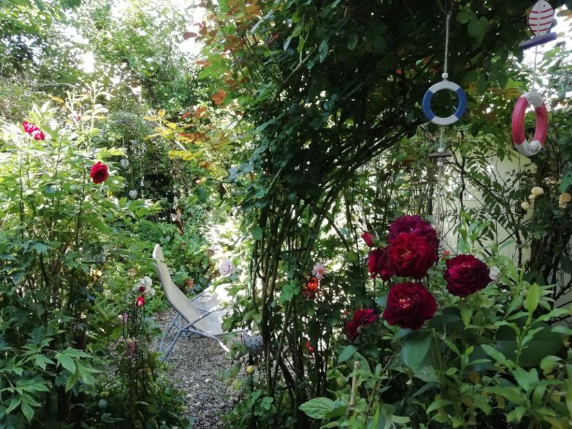  - Grădina 2020 continuare 1