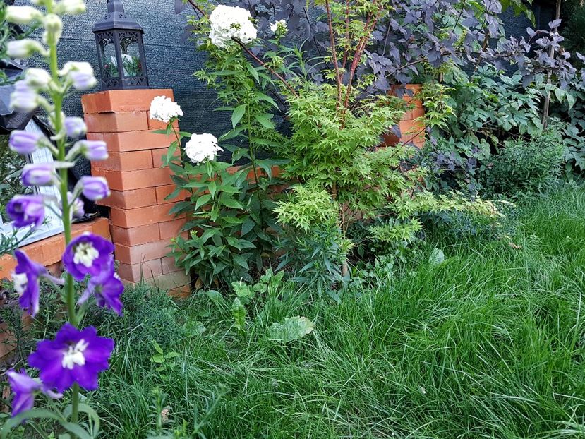  - 2020 Vara_Idilic Garden