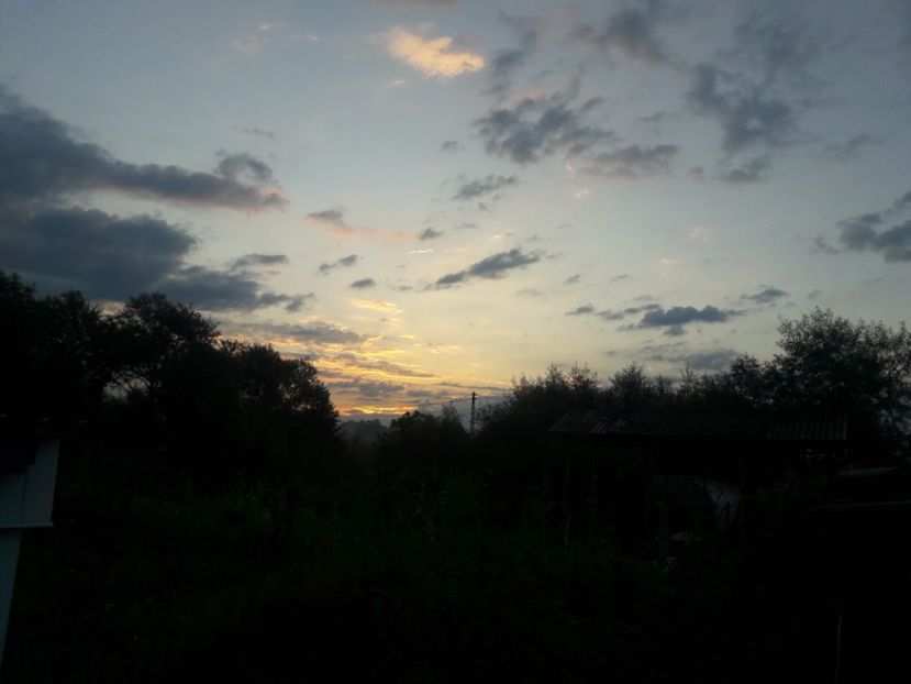  - Rezultate 2020 UCPR