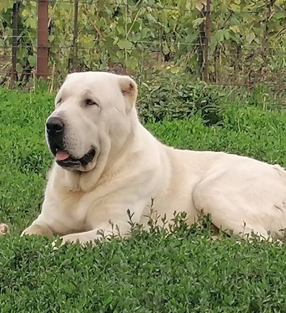 0746E537-FFD0-4D81-B338-E97AA8009282 - Mathias