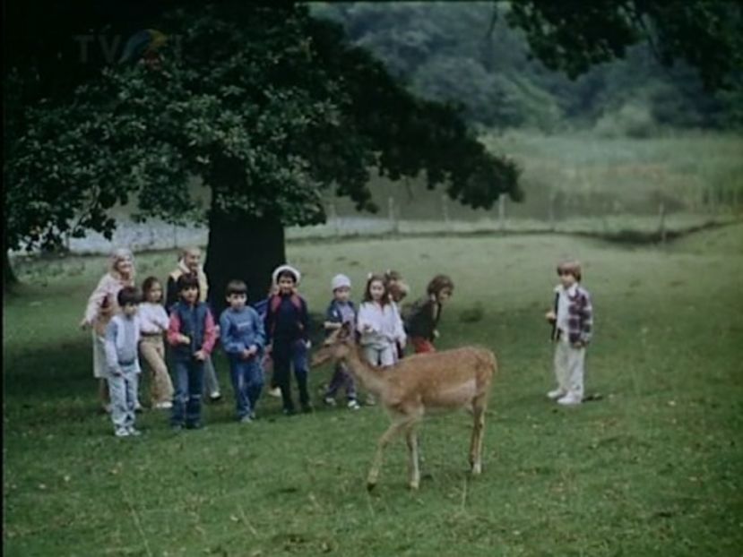 Taina Jocului De Cuburi - Taina Jocului De Cuburi 1989