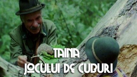 Taina Jocului De Cuburi - Taina Jocului De Cuburi 1989