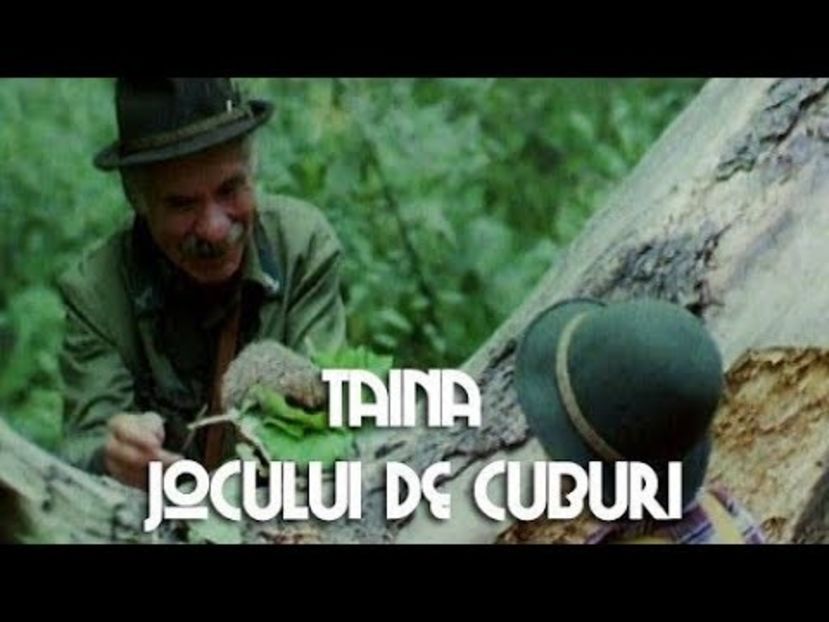 Taina Jocului De Cuburi - Taina Jocului De Cuburi 1989