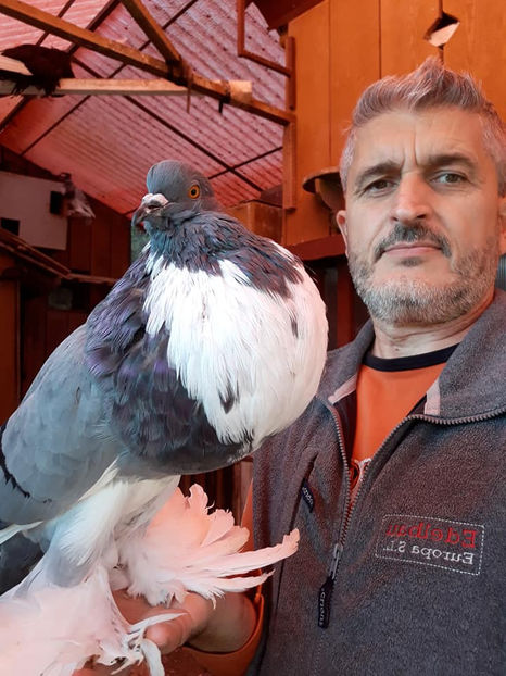 vândută Mureș - Porumbei VÂNDUȚI