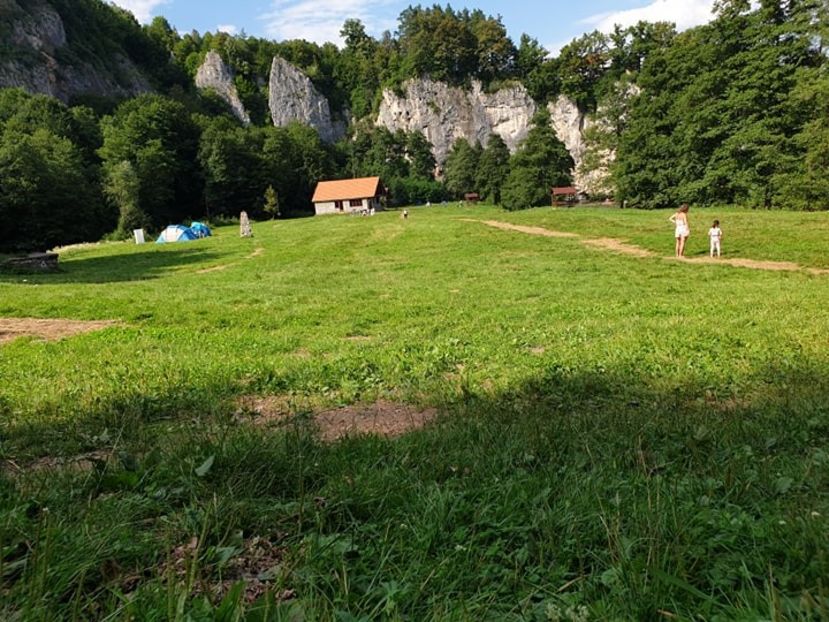  - 2020 SUNCUIUS 3 aug-5 aug baie în Crișul Repede