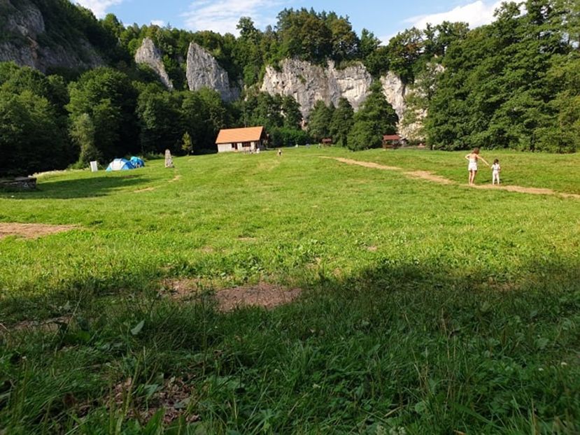  - 2020 SUNCUIUS 3 aug-5 aug baie în Crișul Repede