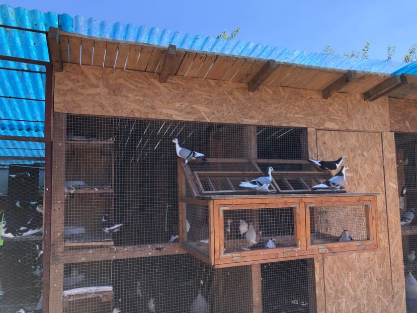  - 00000001 pe afară