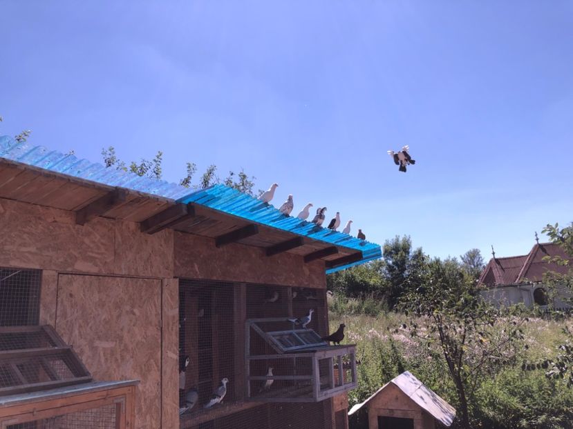  - 00000001 pe afară