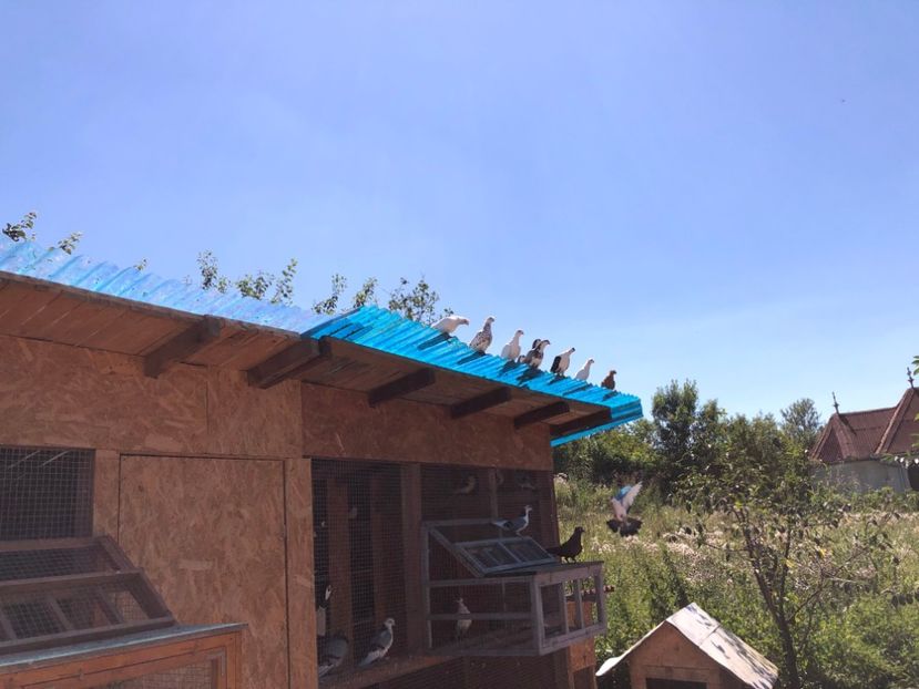  - 00000001 pe afară