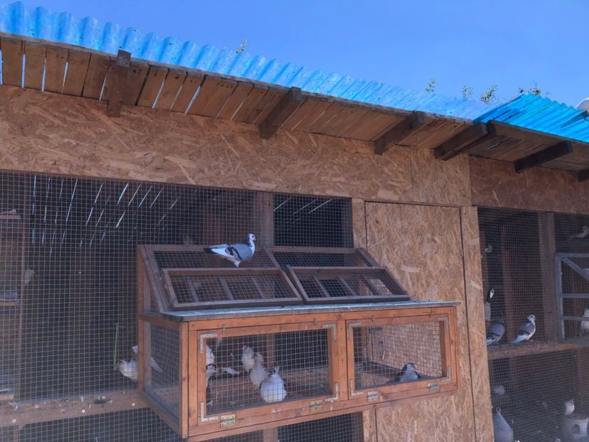  - 00000001 pe afară