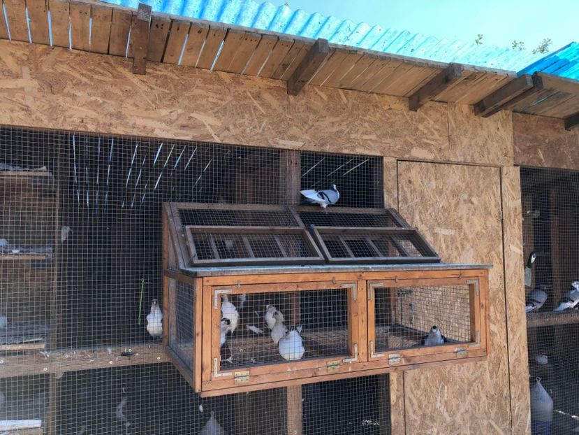  - 00000001 pe afară