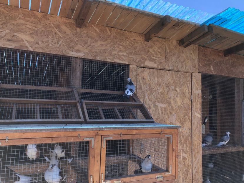  - 00000001 pe afară