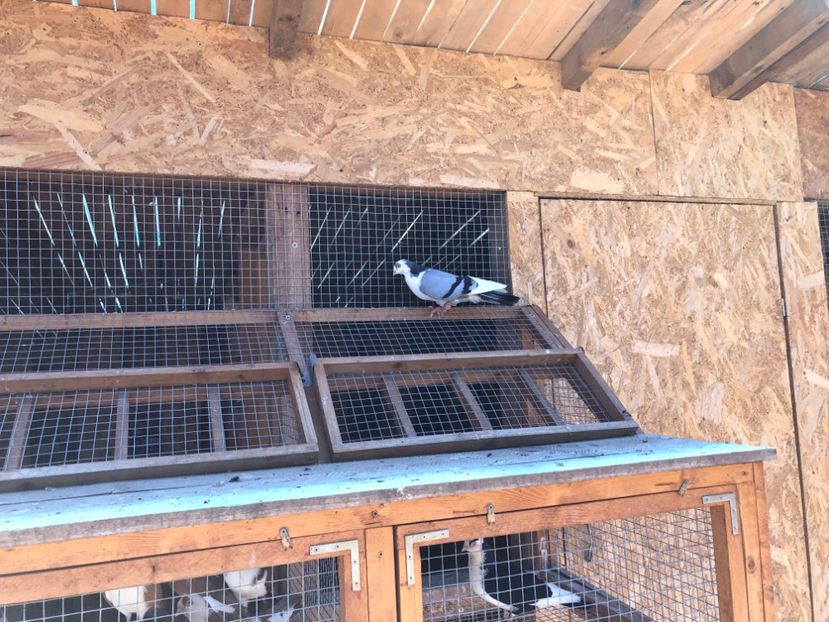  - 00000001 pe afară