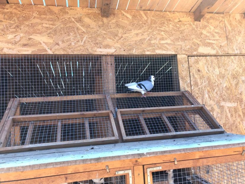  - 00000001 pe afară